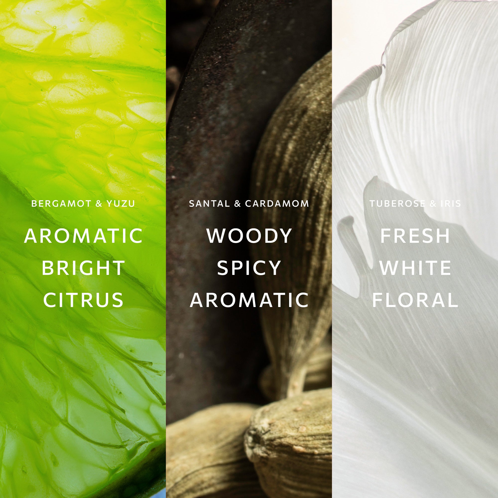 Fresh Fragrance Trio Set