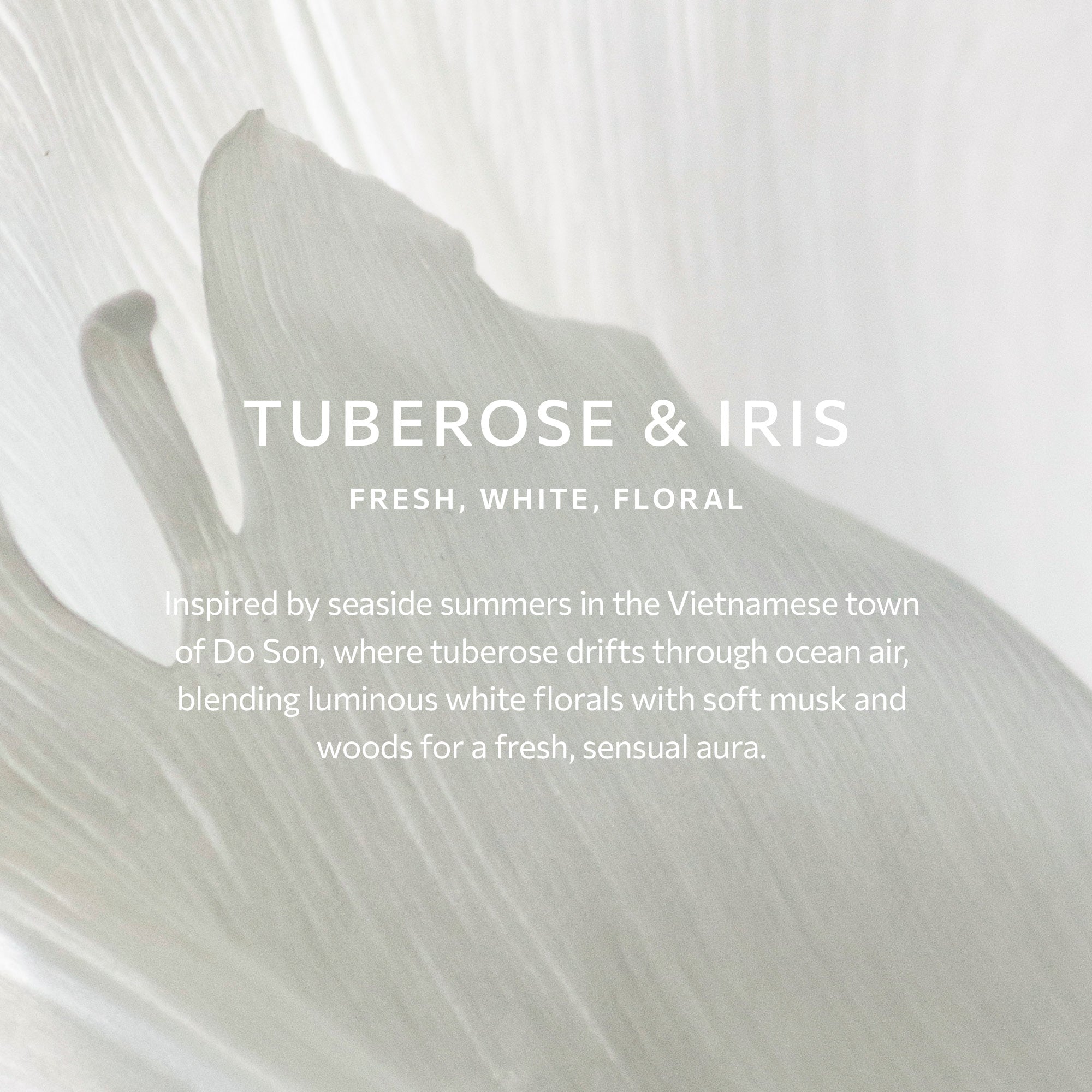 Tuberose & Iris