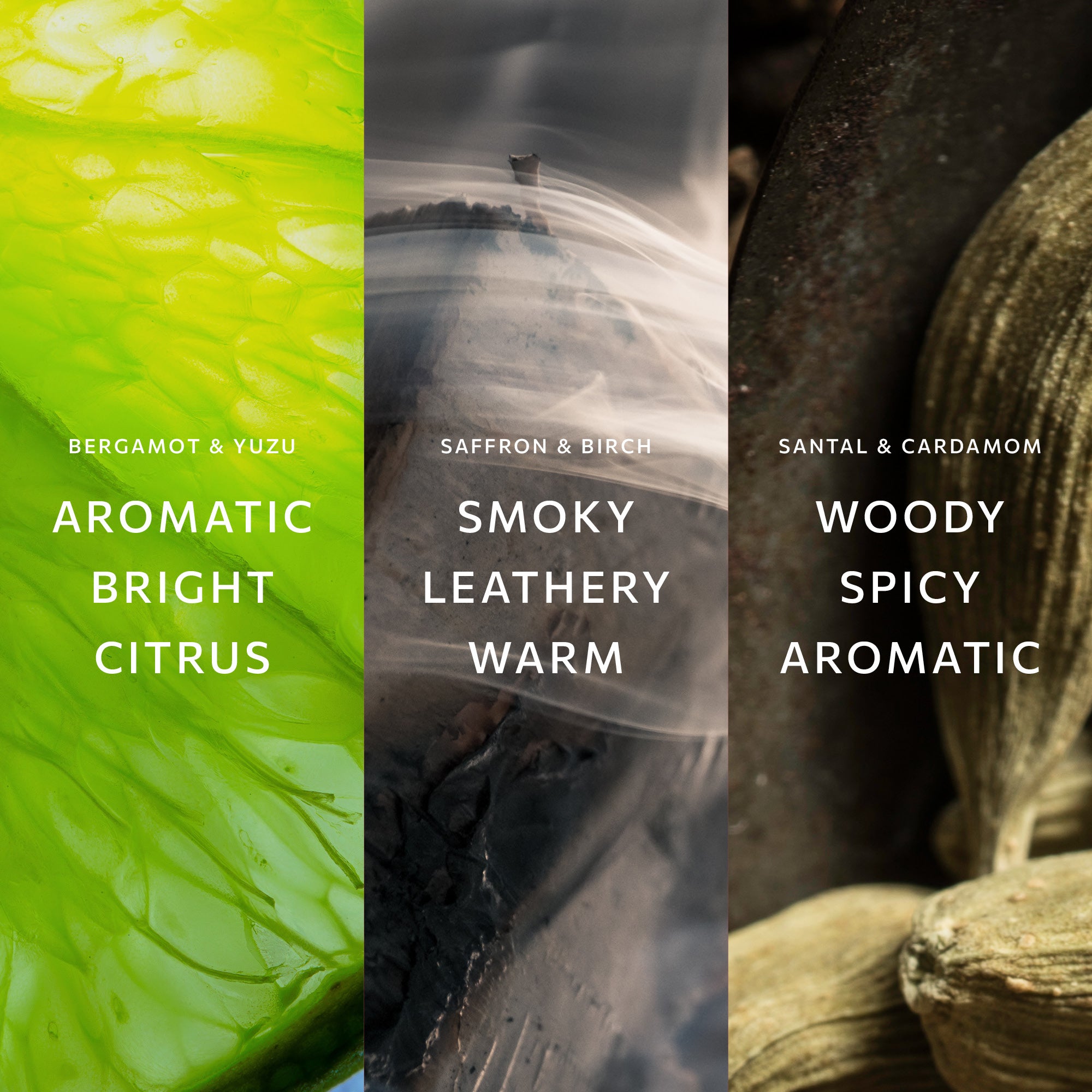 Woody Fragrance Trio Set